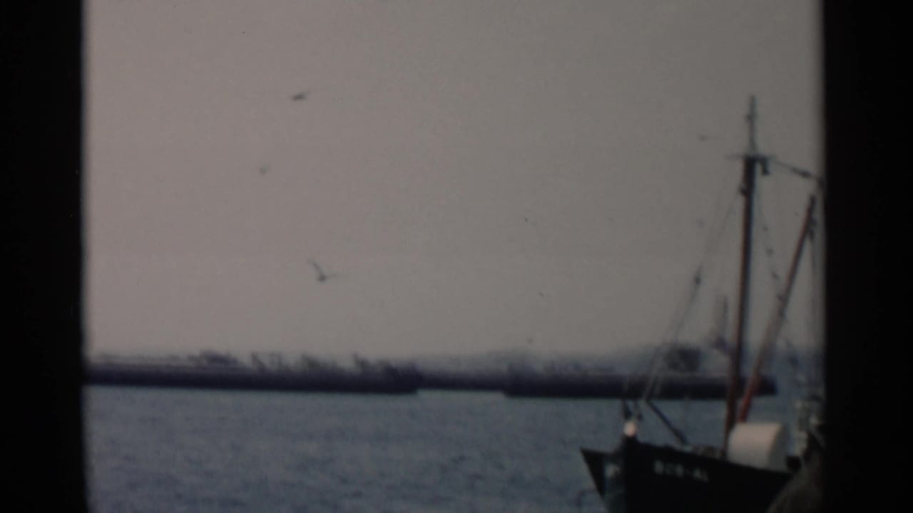 1956 Cape Cod 8mm frame showing a partly cropped fishing boat at sea, gulls in the sky, and a low shoreline in the distance.
