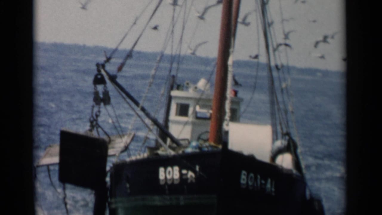 1956 Cape Cod home-movie frame with the boat name BOB-AL visible, gulls circling, rigging, cabin, and open water behind.