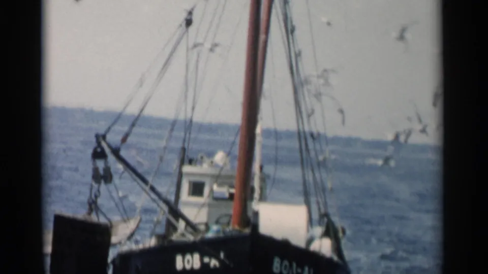 Cape Cod 1956 8mm frame showing the BOB-AL fishing boat from the side, with gulls around the rigging and water beyond.