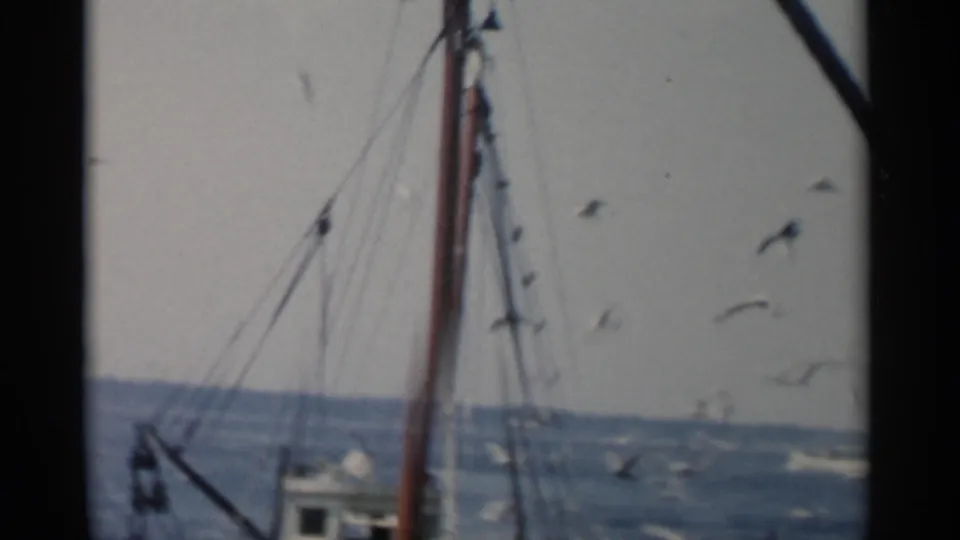1956 Cape Cod frame with gulls crossing the sky around a fishing boat mast, cabin, rigging, and distant shoreline.