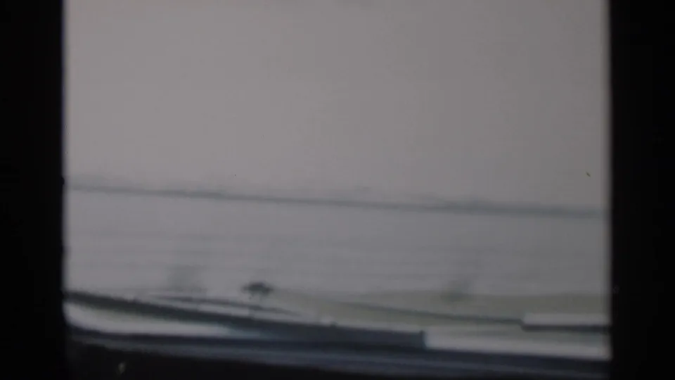 Cape Cod driving frame looking past the car windshield toward a pale shoreline or open water in soft 8mm footage.