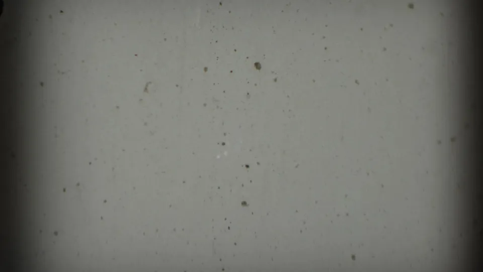 The clip shifts to film leader, showing a pale 8mm frame surface with dust specks, soft vignetting, and a dark vertical edge.