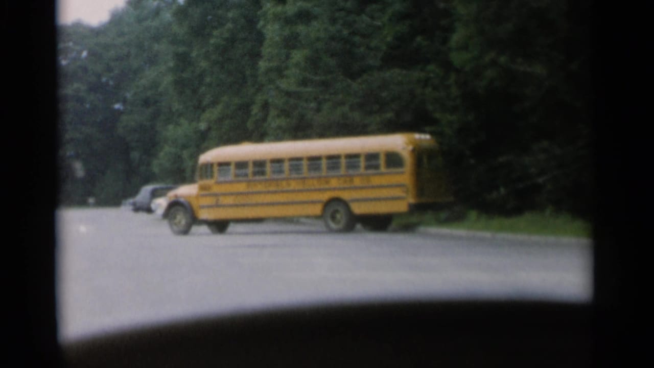 Yellow school bus crossing a paved road beside trees and parked cars.