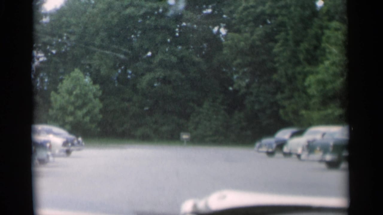 View through a car window toward parked 1950s cars along a tree-lined lot.