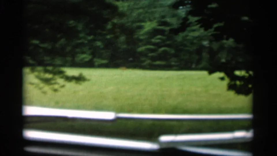 1956 Jones Beach view through a car window toward a grassy field bordered by trees, with the car hood and windshield wiper in the foreground.