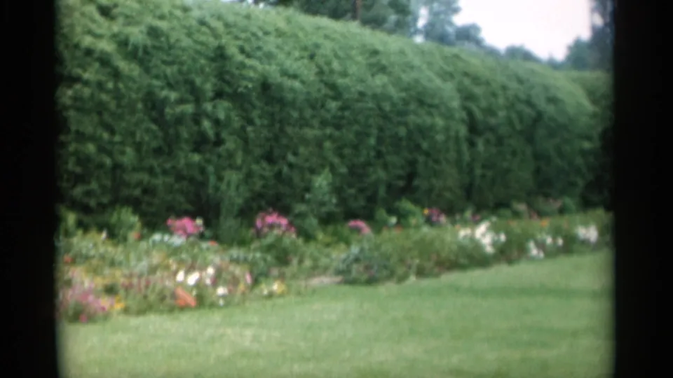 Jones Beach garden view from 1956 showing a dense hedge, pink and white flowers, clipped grass, and soft 8mm color.