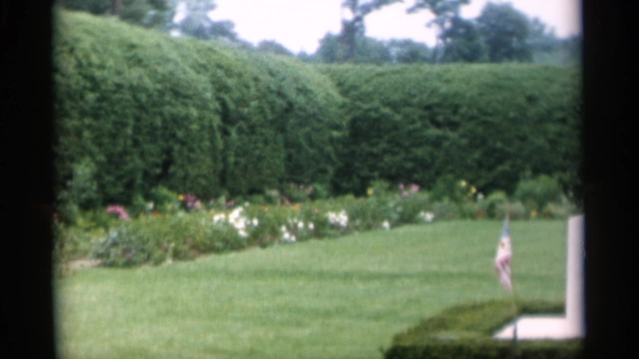Lawn and hedges with a small American flag near the right edge.