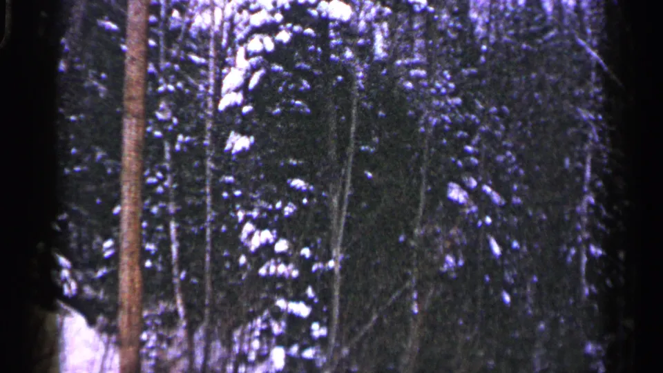Snowy Duluth forest view on 8mm film, with evergreen branches, bare trunks, and a dark foreground trunk along the left side.