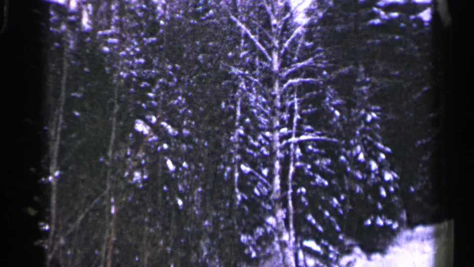 Duluth, Minnesota winter hillside in 1960 home-movie footage, showing snow on trees and ground.