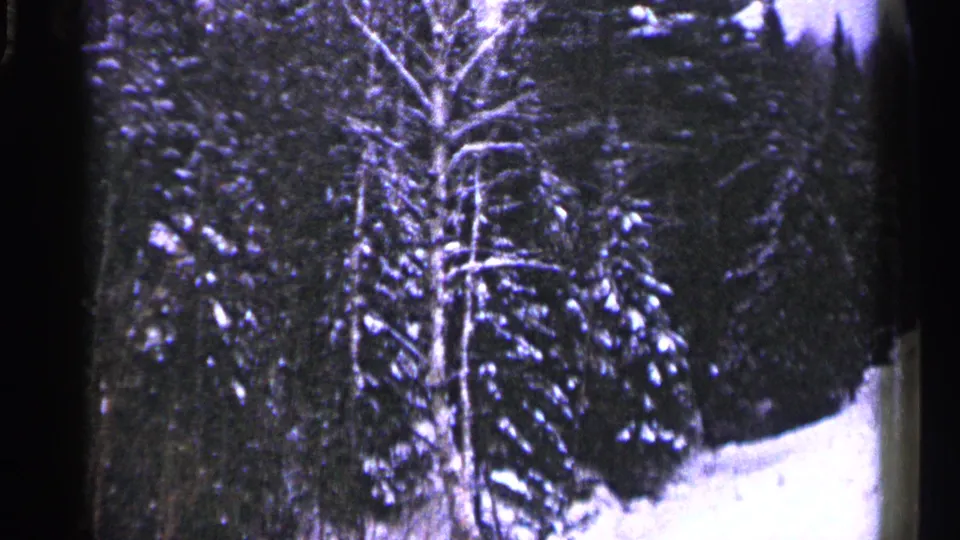 1960 Duluth 8mm frame with a bright snowbank beside dense snow-covered winter woods.