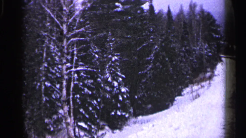 1960 Duluth winter landscape with snow-heavy trees and a curved forest path or roadside visible through soft 8mm grain.
