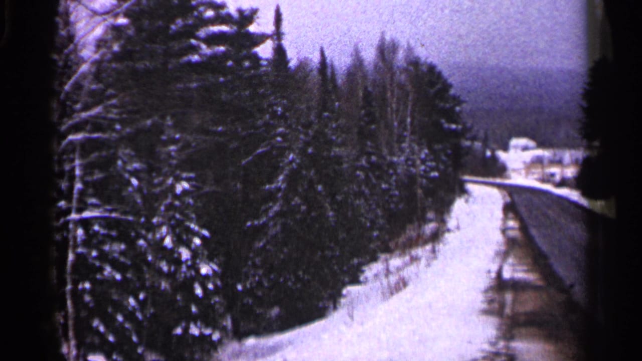 Snowy roadside with evergreen trees and a distant building beyond the road.
