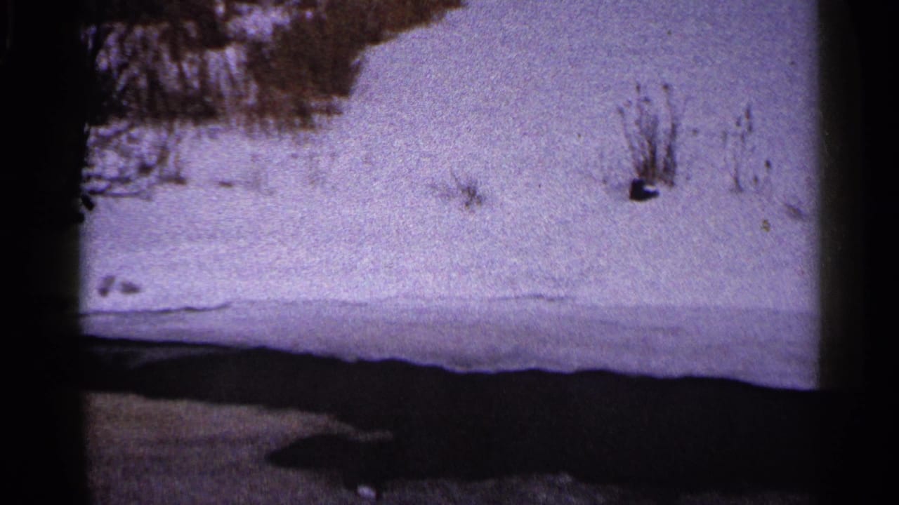 1960 Duluth winter frame showing a snow-covered bank beside a dark stream or river edge, with sparse brush and bare vegetation.