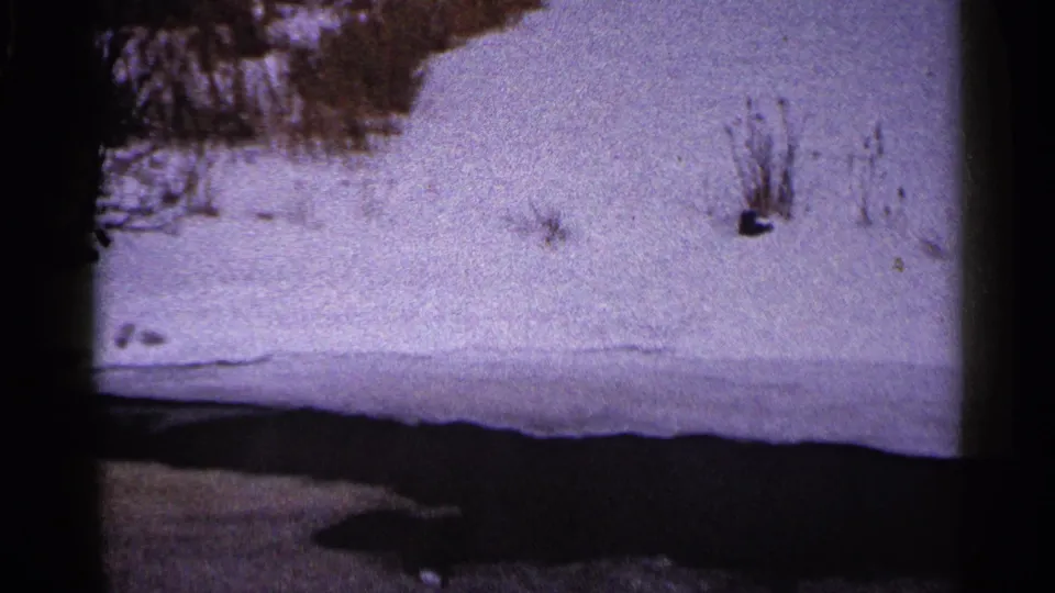 1960 Duluth winter frame showing a snow-covered bank beside a dark stream or river edge, with sparse brush and bare vegetation.