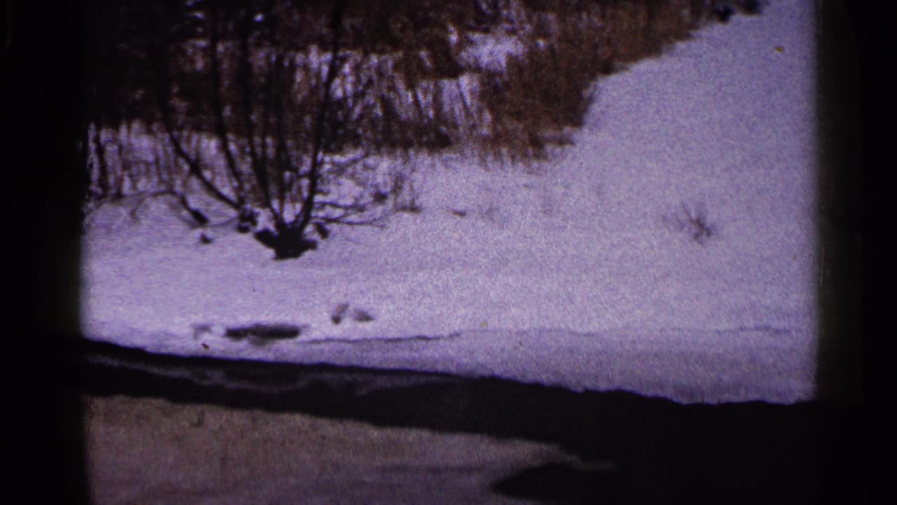 Snow-covered ground with bare shrubs and a dark road or path in the foreground.