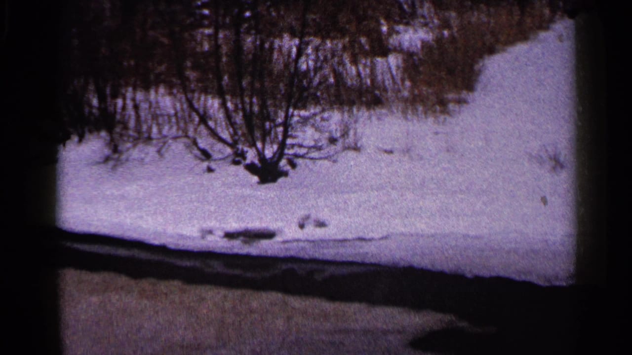 Snowy bank with leafless brush above a dark foreground road or path.
