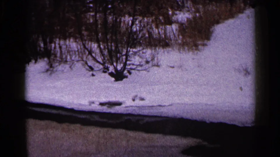Snow-covered Duluth winter roadside or path with bare brush, recorded in muted 8mm home-movie color.
