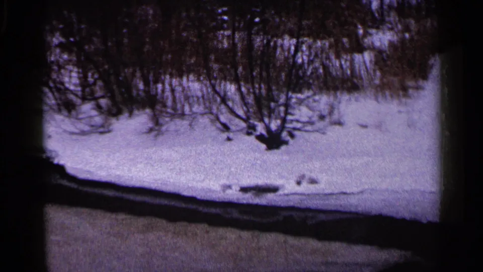 1960 Duluth winter landscape frame with bare shrubs, snow-covered ground, and a dark path crossing the foreground.