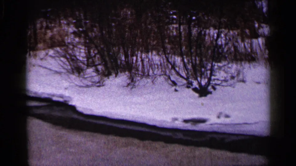 Duluth winter home-movie frame showing snow, brush, and a dark roadside foreground in grainy 8mm texture.