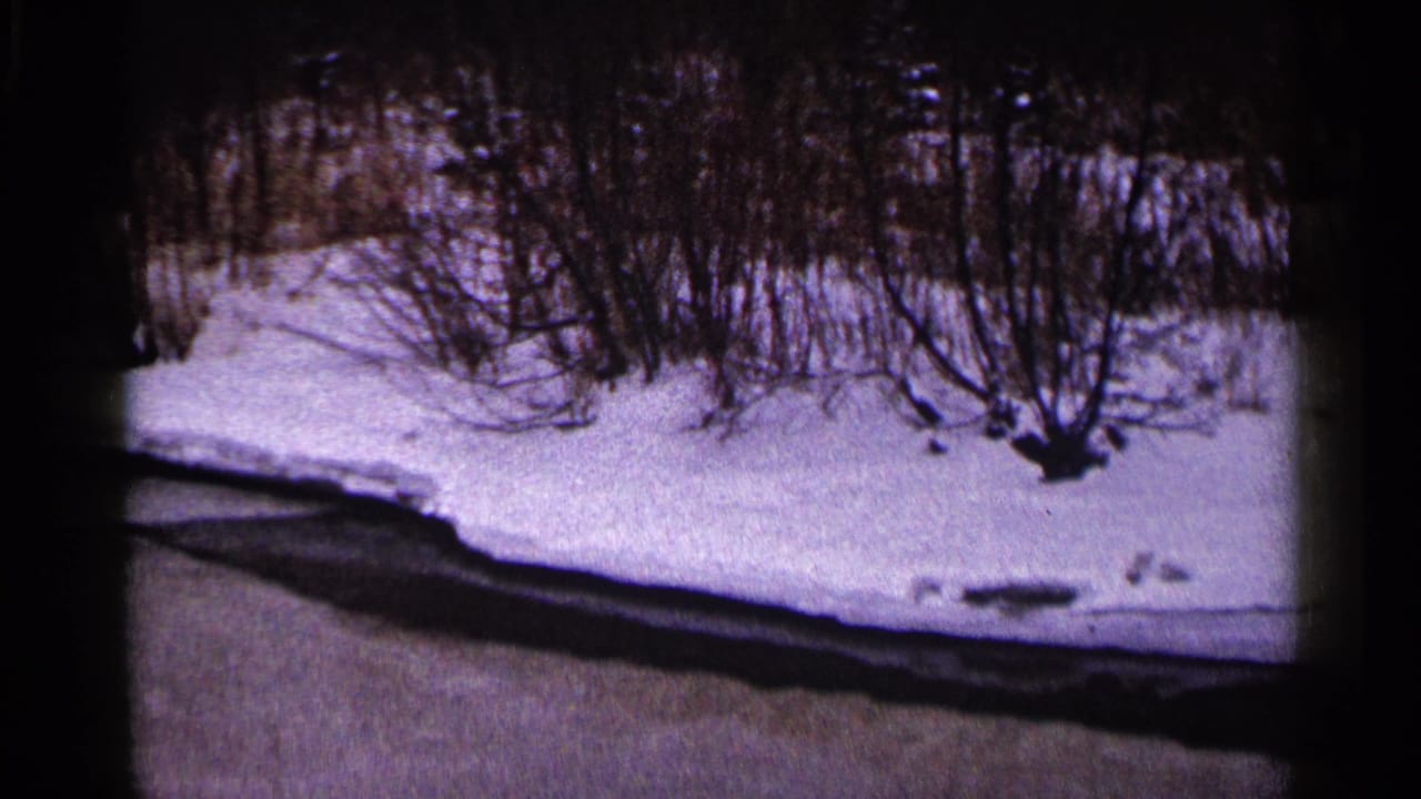 Snowy bank beside a partially frozen stream with bare shrubs in the background.
