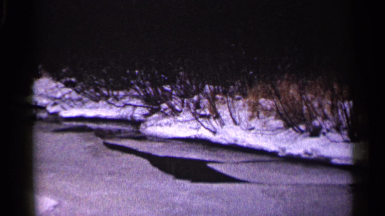 Frozen water bordered by snowbanks and bare brush, with a dark shadow crossing the ice.