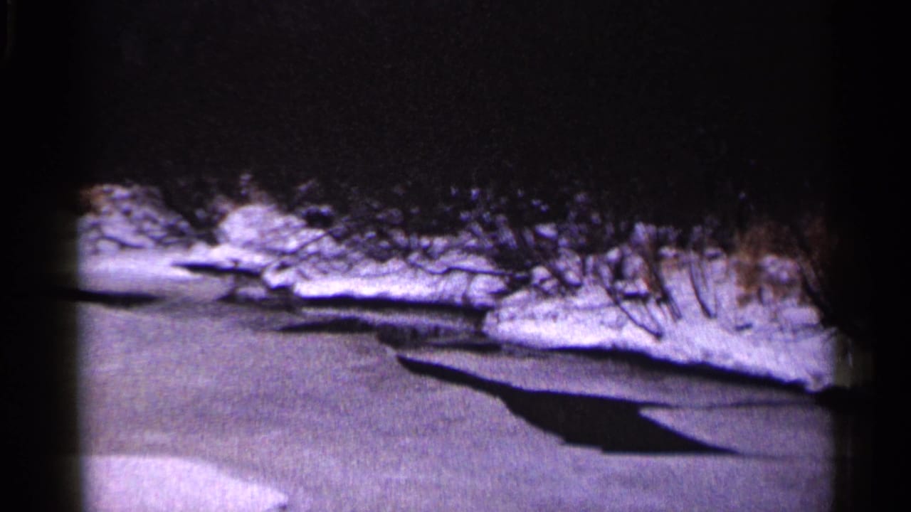 Snowy frozen shoreline with bare brush and a broad shadow extending across the ice.