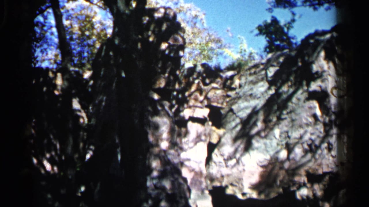 Tree shadows cross a large pale rock formation under a bright sky.