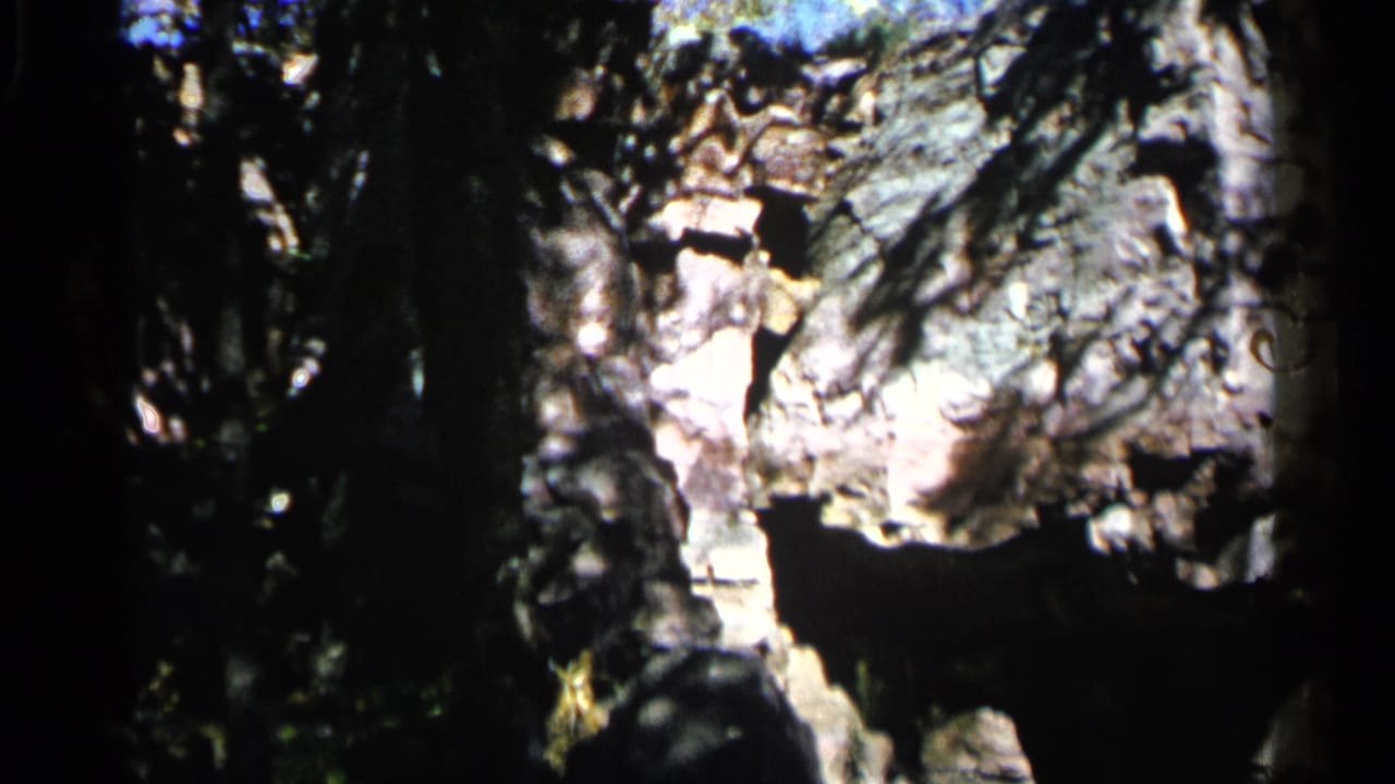 Rock face in a shaded wooded area with tree trunks and dappled sunlight.