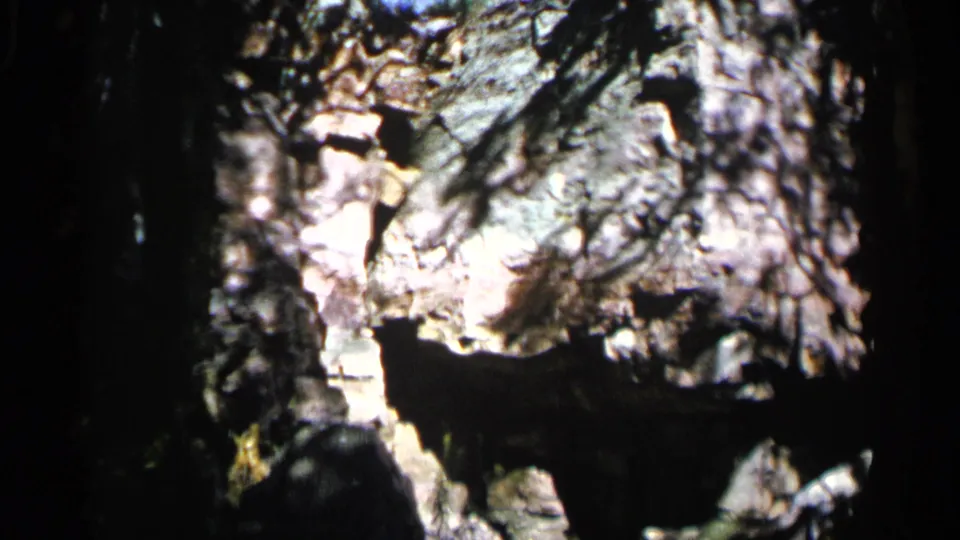 1960 8mm home-movie frame showing a rough wooded rock formation in Sioux Falls, with strong shadow and soft focus.
