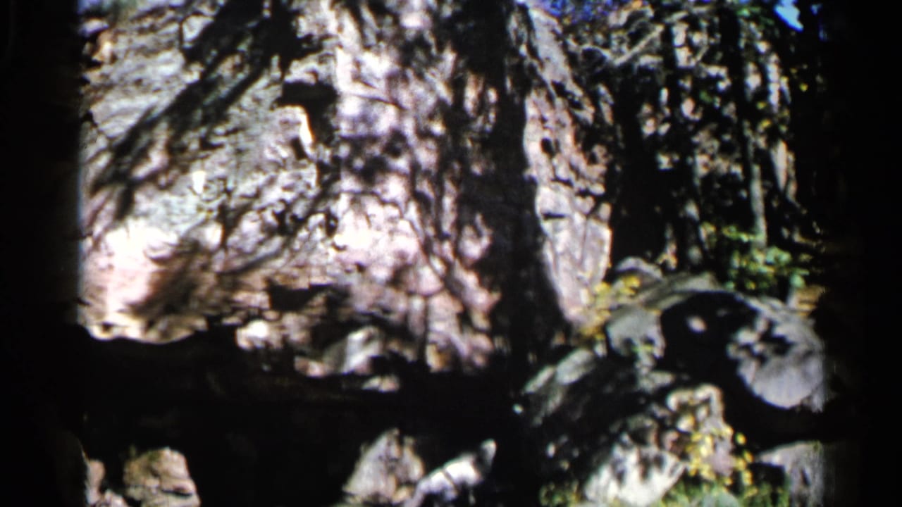 Rock face and foliage seen from a shadowed cave opening.