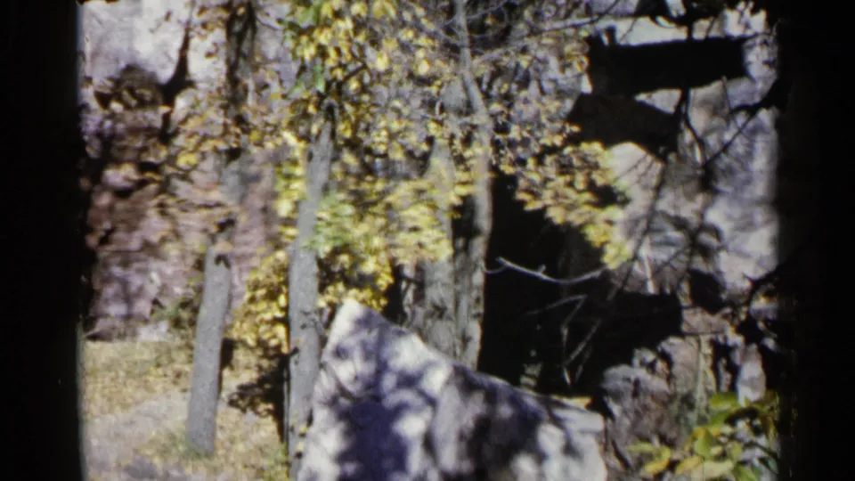 1960 Sioux Falls 8mm frame with slender trunks, autumn foliage, grass, and rock faces under dappled shadow.