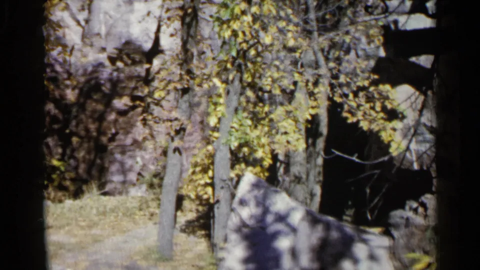 1960 Sioux Falls frame showing a small bird-like form near branches, with yellow leaves, rocks, and dappled light.
