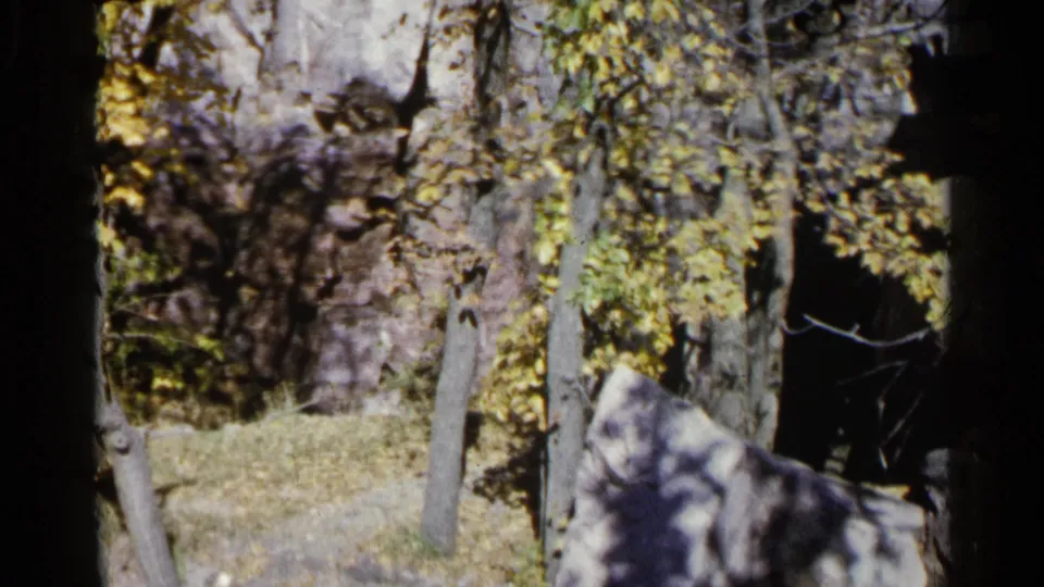 1960 8mm frame from Sioux Falls showing slender trees, yellow-green leaves, grass, and pale rock formations.