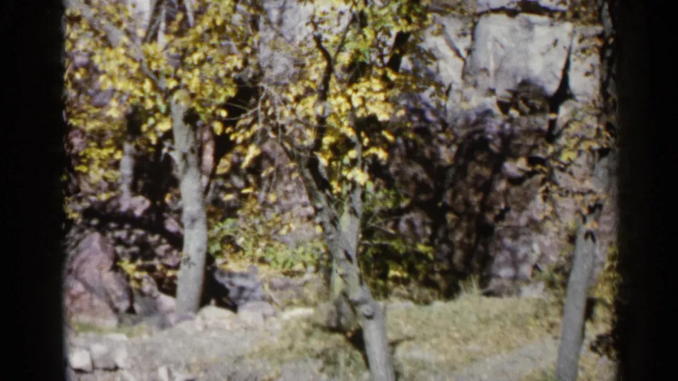 1960 8mm frame from Sioux Falls showing autumn foliage, tree trunks, grass, and pale rock formations.