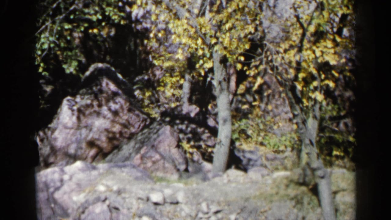 Large boulder beside trees with yellow leaves.