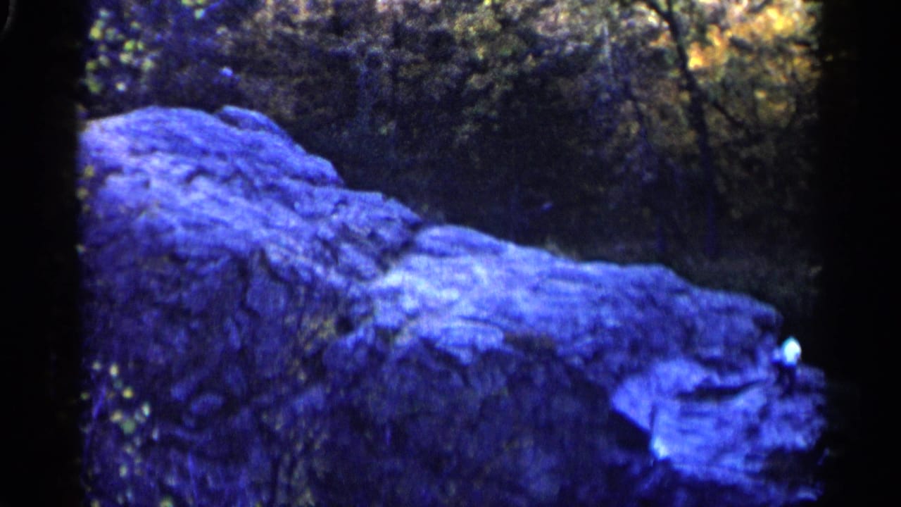 Rocky ledge with trees behind it and a small figure near the right edge.
