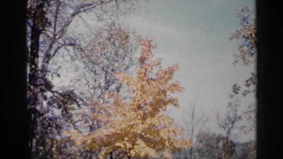 Home-movie frame from Sioux Falls showing a yellow autumn tree against darker branches and distant landscape.