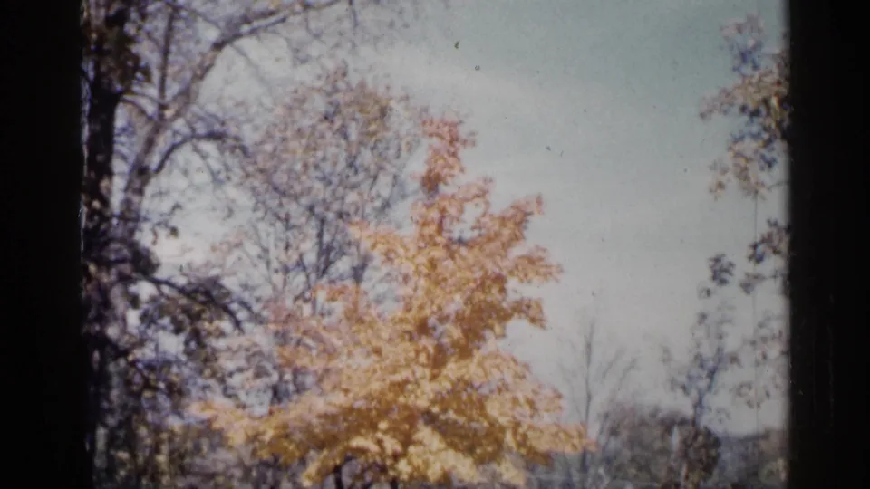1960 8mm park scene in Sioux Falls with golden autumn leaves, bare trees, and a faint distant treeline.
