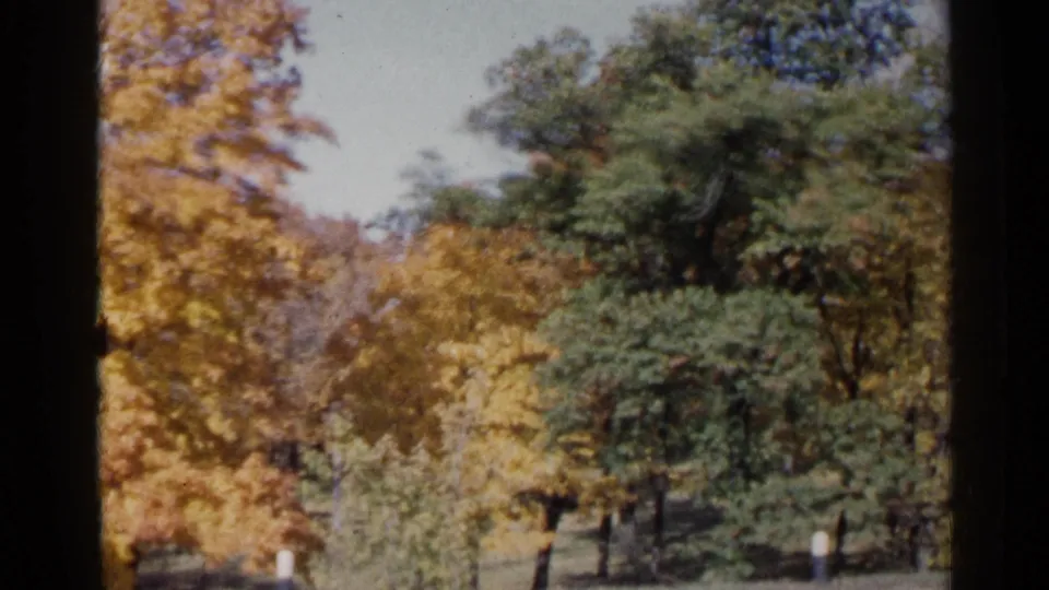 1960 home-movie frame with mixed yellow and green trees, roadside glimpses, and grainy 8mm color.