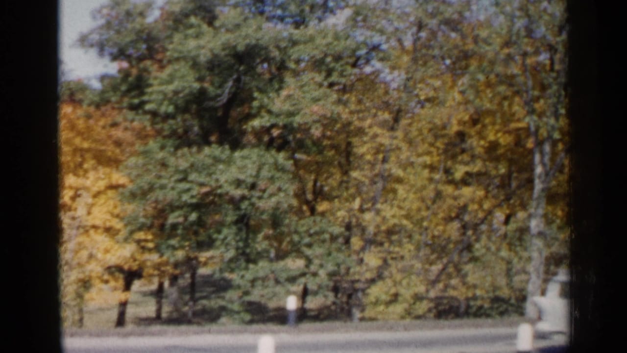 Autumn trees beside a paved road with roadside posts and dark film borders.