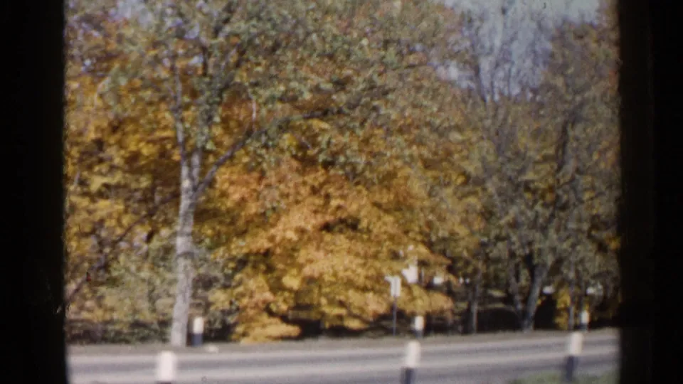 1960 Sioux Falls home-movie frame of a tree-lined road with fall foliage, curbside signs, and warm 8mm color texture.