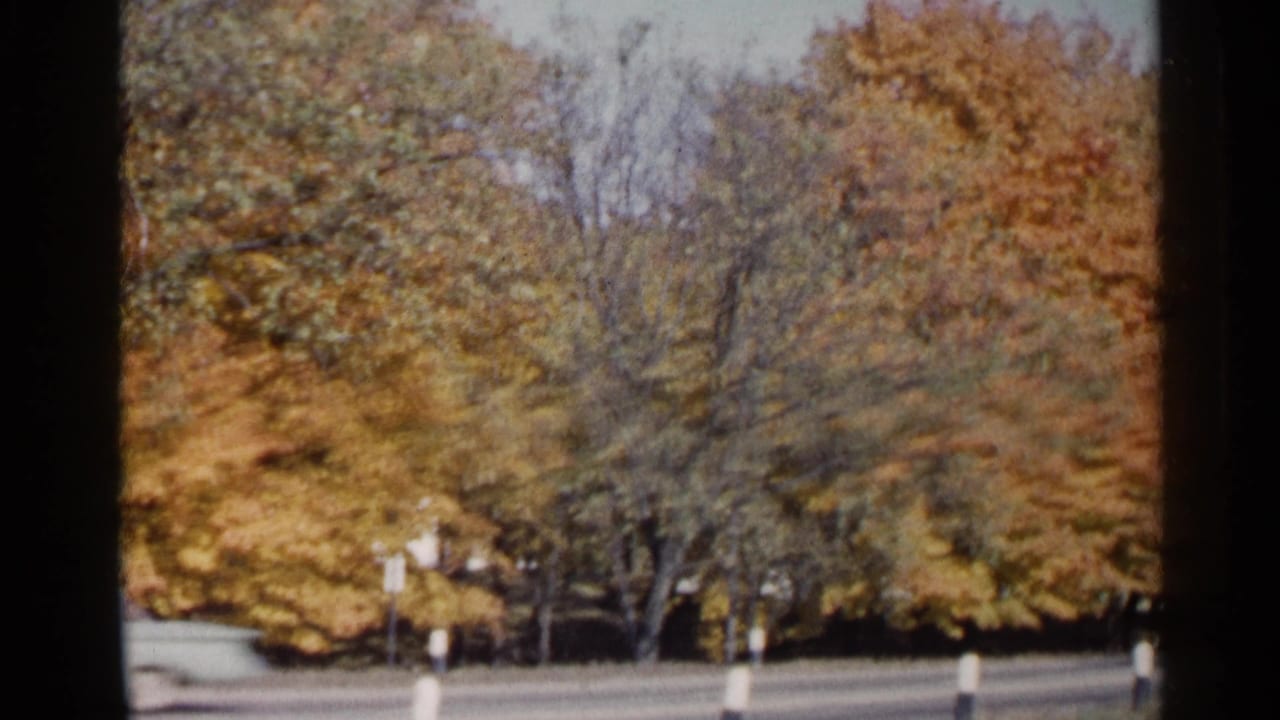 Autumn trees beside a paved road with roadside posts and a light-colored car at the left edge.
