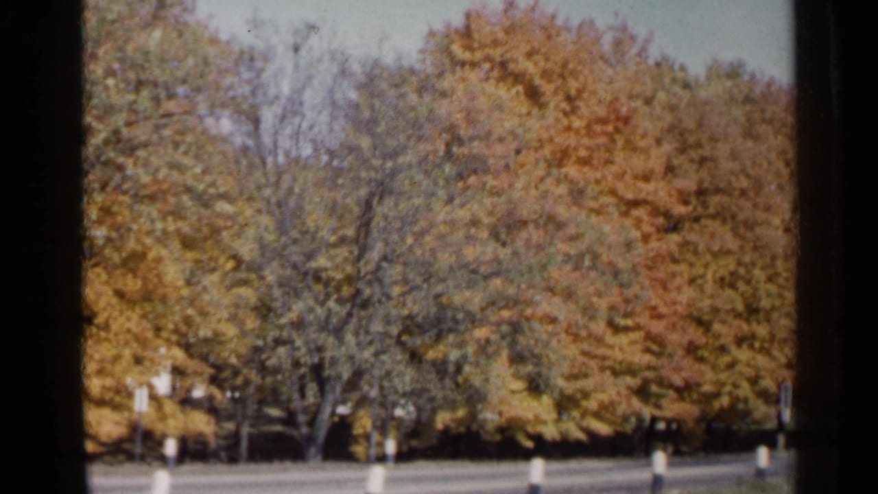 1960 Sioux Falls roadside view with dense autumn foliage, a paved road, and small roadside posts seen from a moving vehicle.