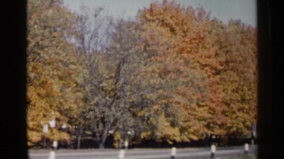 1960 Sioux Falls roadside view with dense autumn foliage, a paved road, and small roadside posts seen from a moving vehicle.