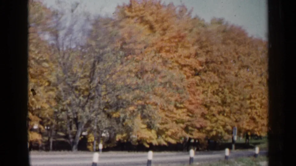Soft 8mm frame of a Sioux Falls autumn roadside, with trees, grass verge, road, and posts blurred by vehicle movement.