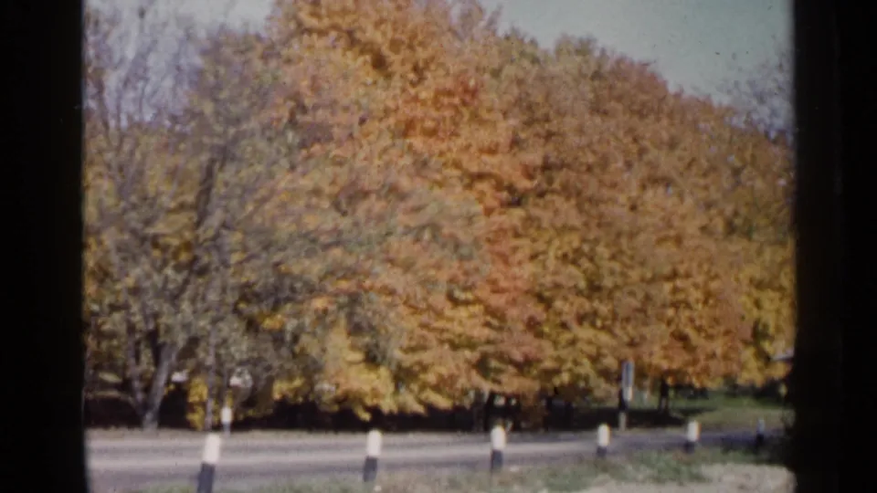 End frame of 1960 Sioux Falls autumn road footage, showing dense fall foliage, a paved road, roadside posts, and grass shoulder.