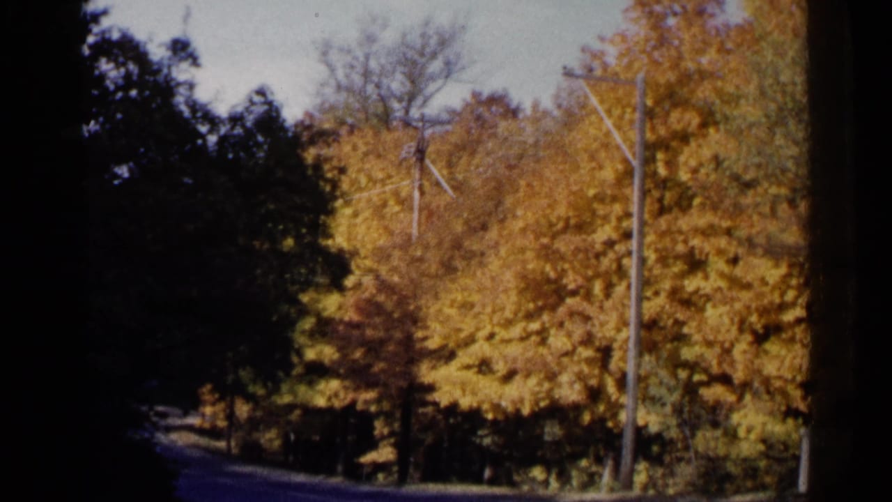 1960 Sioux Falls 8mm frame looking along a shaded road bordered by gold autumn trees and overhead utility poles.