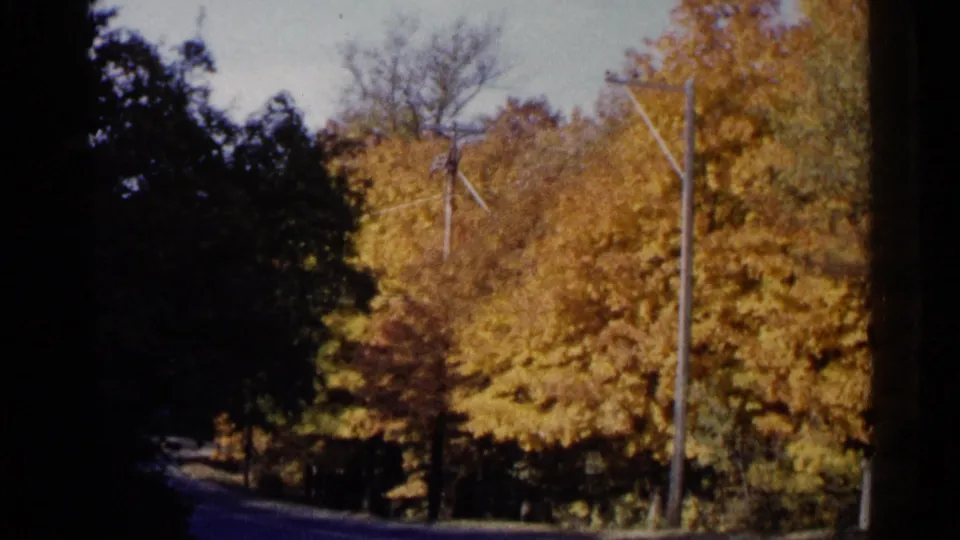 1960 Sioux Falls 8mm frame looking along a shaded road bordered by gold autumn trees and overhead utility poles.