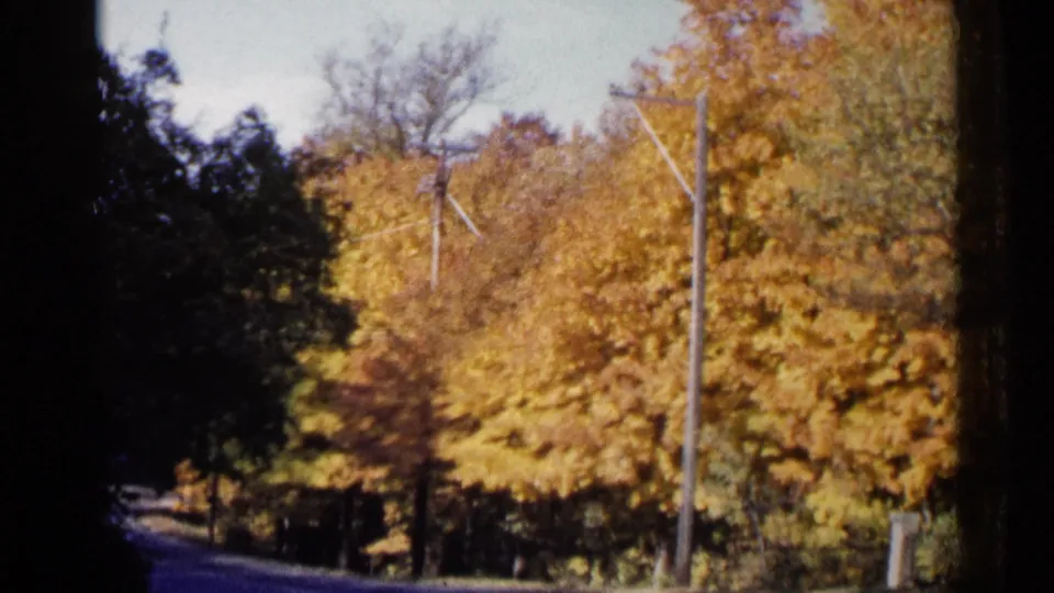 Sioux Falls 1960 home-movie frame with dense golden foliage, a roadside utility pole, and a shaded road edge.