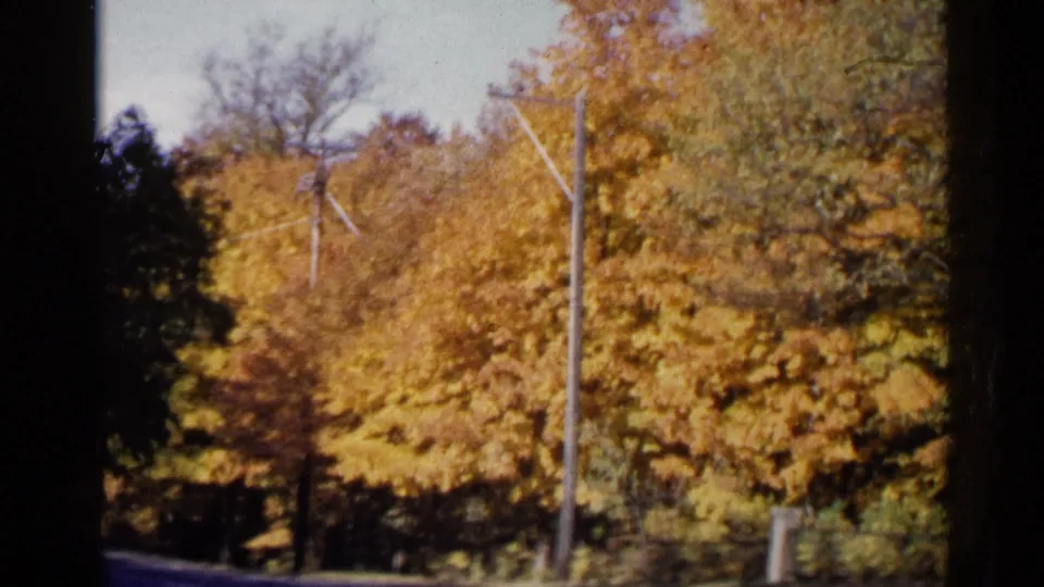 1960 Sioux Falls frame showing bright fall trees around a quiet roadside, with utility poles and soft 8mm film texture.